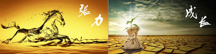 企業(yè)發(fā)展要學會取他人之長、補自己之短